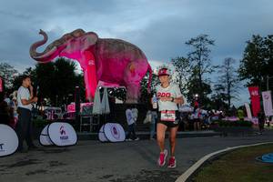 BIB: 
                            <button type="button" onclick="openModal(26529602)" class="btn btn-primary btn-sm float-right btn-popup" data-toggle="modal" data-target=".modal-high-quality">
                        <i class="fas fa-shopping-cart"></i> Add to Cart
                    </button>
                                            <button type="button" onclick="isThisMe(26529602, true)" class="btn btn-success btn-sm float-right btn-popup btn-isme hidden" data-toggle="tooltip" data-placement="bottom" title="นี่คือรูปของคุณใช่ไหม คลิกที่นี่เพื่อเอาเข้าอัลบั้ม">
                        <i class="fas fa-plus"></i> Add to album
                    </button>
                    <button type="button" onclick="isThisMe(26529602, false)" class="btn btn-warning btn-sm float-right btn-popup btn-isnotme hidden">
                        <i class="fas fa-ban"></i> Remove from album
                    </button>